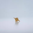 Piercing Estrella Cardinal 0.3gr / 1cm / Oro Amarillo 18K $