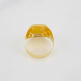 Anillo Sello Caballo 3.9g / T10 Oro Amarillo 18K