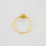 Anillo Halo 1.4g / T6 1/2 Oro Amarillo 18K