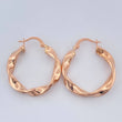 Candongas Asby 2.95gr / 3cm / Oro Rosa 18K $