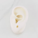 Topos Oso Ts 0.55g / 4mm Oro Amarillo 18K