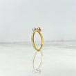 Anillo Tu y Yo 1gr / T6 1/2 / Tres Oros