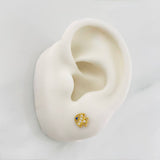 Topos Pez 0.75g / 6.19mm Oro Amarillo 18K
