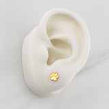 Topos Huellas 0.55g / 5.07mm Oro Amarillo 18K