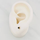 Topos 4 Garras 0.6g / 2.69mm Oro Amarillo 18K