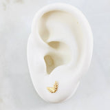 Topos Alas 0.6gr / Oro Amarillo 18K