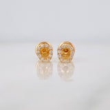 Topos Herradura 0.65g / 4.88mm Oro Amarillo 18K