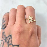 Anillo Libelula 1.55gr / T6 / Oro Amarillo 18K ©