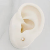 Topos Cuatro Garras 0.6g / 3.1mm Oro Amarillo 18K