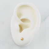 Topos Bola Lisa 0.4g / 3mm Oro Rosa 18K