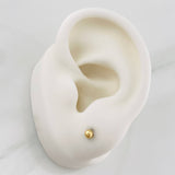Topos Bola Lisa 0.5 g / 3 mm Oro Amarillo 18K
