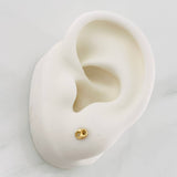 Topos GC 0.55g / 3.55mm Oro Amarillo 18K