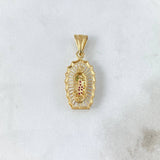 Dije Virgen de Guadalupe 2.95gr / 3cm / Silueta Circones Fucsias Verdes Oro Amarillo ©