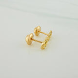 Topos Infinito 0.7gr / Circones Blancos Oro Amarillo &