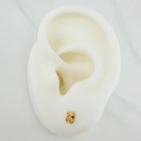 Topos Oso TS 0.65gr / Circones Blancos Oro Amarillo $