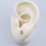 Topos Oso Ts 0.65gr / Circones Blancos Oro Amarillo &