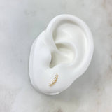 Topos Arco 0.6gr / Circones Blancos Oro Amarillo