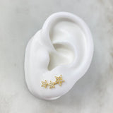 Topos Arco Estela De Estrellas 1.25gr / Circones Blancos Oro Amarillo ©