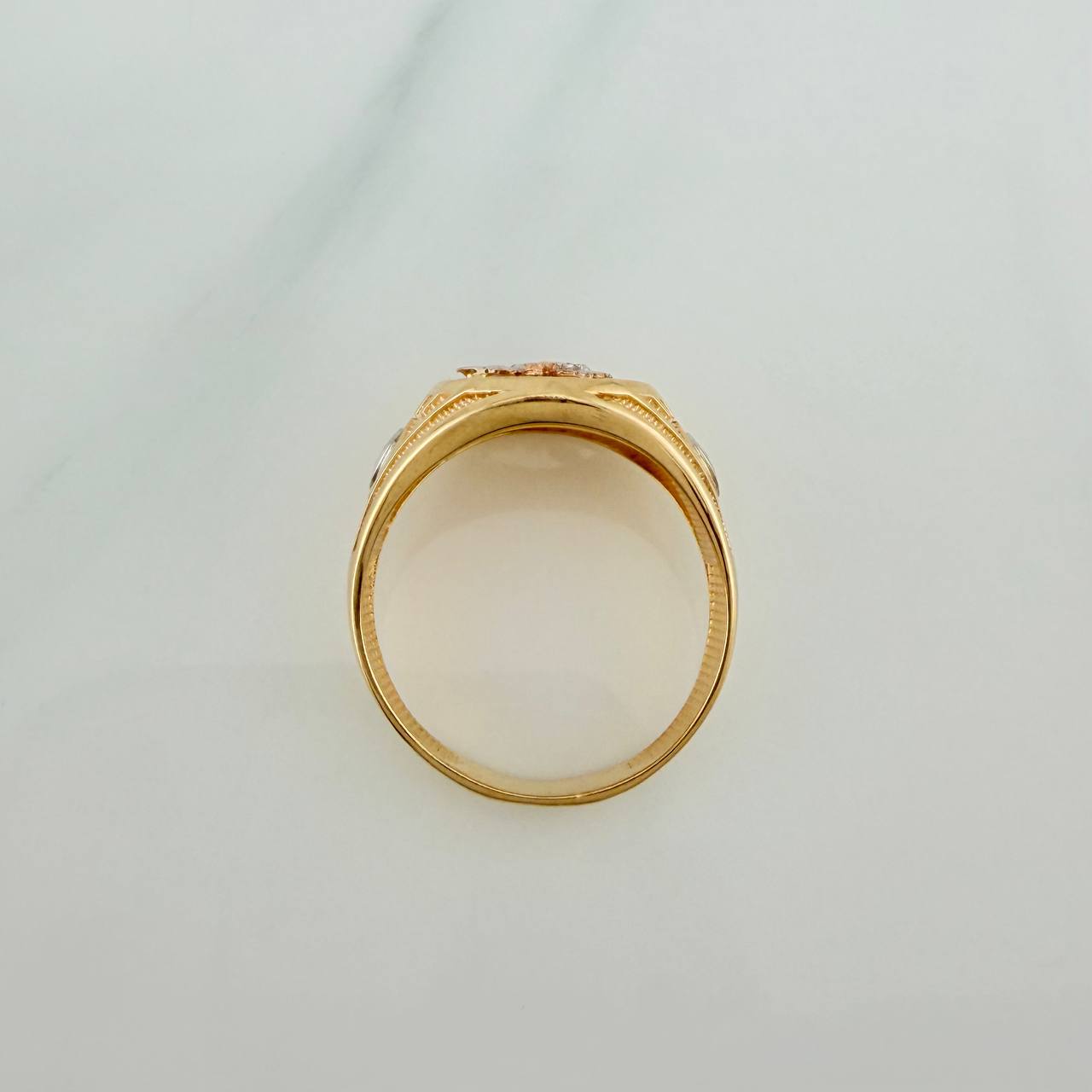 Anillo San Miguel Arcangel 5.3gr / T9 1/2 / Tres Oros 18K %