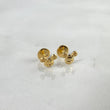 Topos Raton 0.55gr / Oro Amarillo