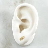 Topos Estela En Flores 0.8gr / 1mm Circones Blancos Oro Amarillo 18K