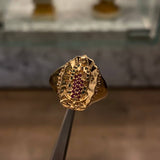 Anillo Virgen de Guadalupe 5.95gr-T10 Circones Blancos Fucsias Verdes Oro Amarillo